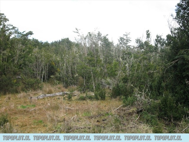 familia agsto 2010 079