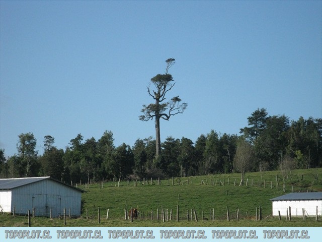 familia agsto 2010 080