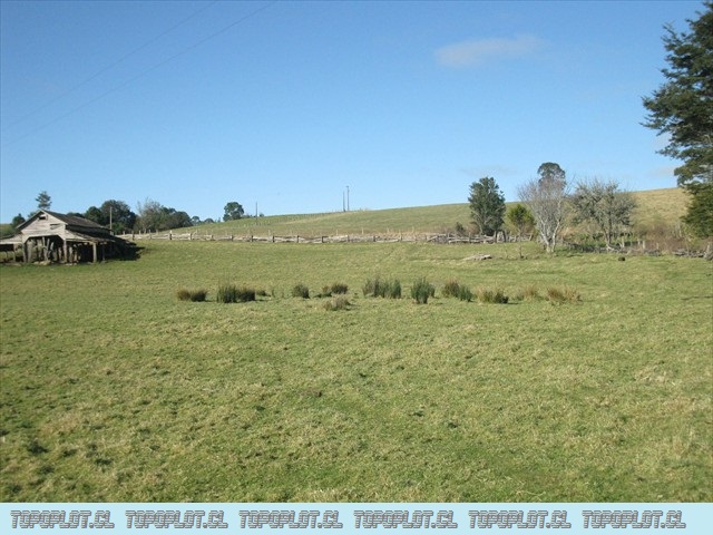 familia agsto 2010 081